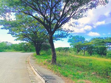 RUSH SALE! PREMIUM LOT AT PALO ALTO BARAS RIZAL WITH NATURAL FALLS