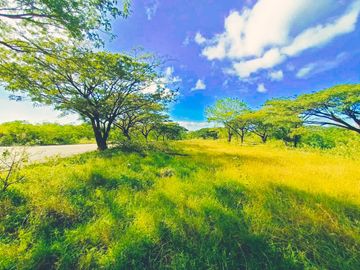 RUSH SALE! PREMIUM LOT AT PALO ALTO BARAS RIZAL WITH NATURAL FALLS