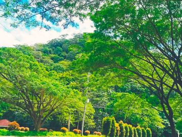 RUSH SALE! PREMIUM LOT AT PALO ALTO BARAS RIZAL WITH NATURAL FALLS