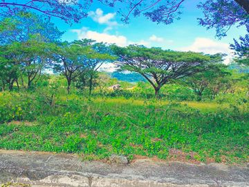 RUSH SALE! PREMIUM LOT AT PALO ALTO BARAS RIZAL WITH NATURAL FALLS