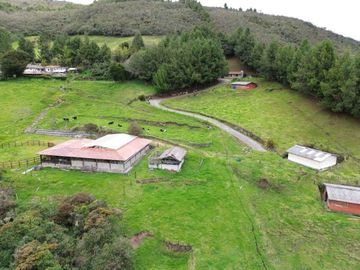 VENTA DE LOTE CAMPESTRE CON CABAÑAS Y ESTABLO