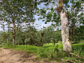 RANCHO MARIANITA- PEDRO VICENTE MALDONADO