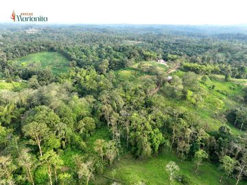 RANCHO MARIANITA- PEDRO VICENTE MALDONADO