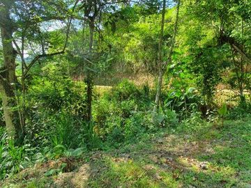EN VENTA: FINCA CAMPING RIO BLANCO, ARENILLAS