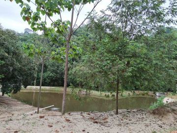 EN VENTA: FINCA CAMPING RIO BLANCO, ARENILLAS