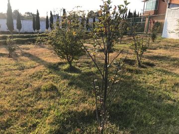 Casa Residencial En Renta, en Jilotepec Edo. Méx. Amueblada Y Con Servicios.