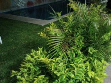 (CVO) CASA EN TEZOYUCA $ 3,250,000