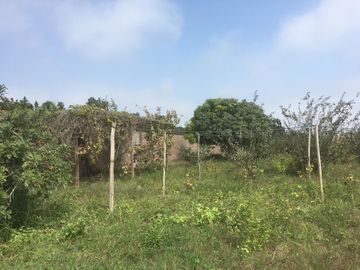 VENTA DE TERRENO AGRÍCOLA EN MALA - CAÑETE - LIMA