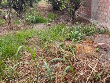 VENTA DE TERRENO AGRÍCOLA EN MALA - CAÑETE - LIMA