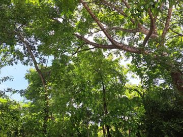 Casa en Arriendo Zona Norte Cartagena