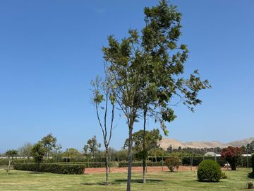 VENDO TERRENO -LOTE EN CONDOMINIO CASABLANCA ECOVILLAS, CERRO AZUL, CAÑETE
