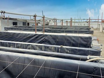 N19 - Venta Laboratorio de Larvas de Camarón - Punta Carnero - Santa Elena - Ecuador