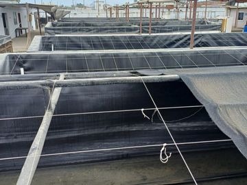 N19 - Venta Laboratorio de Larvas de Camarón - Punta Carnero - Santa Elena - Ecuador