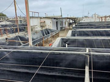 N19 - Venta Laboratorio de Larvas de Camarón - Punta Carnero - Santa Elena - Ecuador