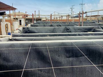 N19 - Venta Laboratorio de Larvas de Camarón - Punta Carnero - Santa Elena - Ecuador