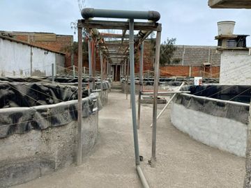 N19 - Venta Laboratorio de Larvas de Camarón - Punta Carnero - Santa Elena - Ecuador