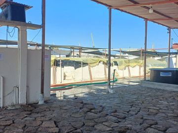 N19 - Venta Laboratorio de Larvas de Camarón - Punta Carnero - Santa Elena - Ecuador