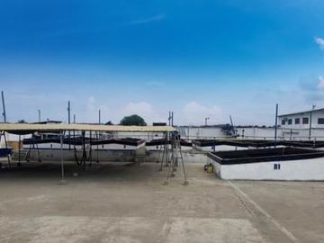 N19 - Venta Laboratorio de Larvas de Camarón - Punta Carnero - Santa Elena - Ecuador