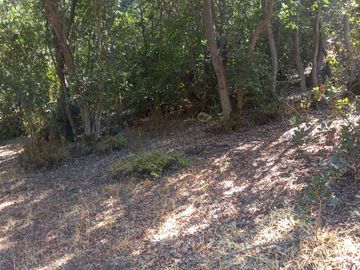 SE VENDE PARCELA 5.200 M2 LAGUNA DE ACULEO