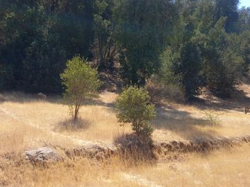 SE VENDE PARCELA 5.200 M2 LAGUNA DE ACULEO
