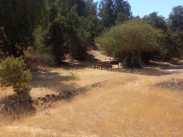 SE VENDE PARCELA 5.200 M2 LAGUNA DE ACULEO