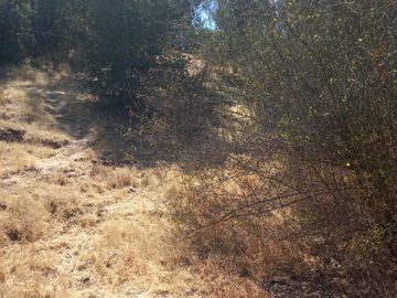 SE VENDE PARCELA 5.200 M2 LAGUNA DE ACULEO