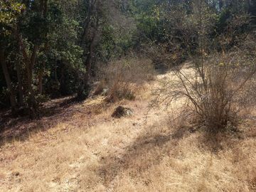 SE VENDE PARCELA 5.200 M2 LAGUNA DE ACULEO