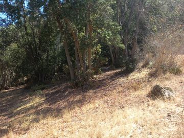 SE VENDE PARCELA 5.200 M2 LAGUNA DE ACULEO