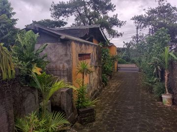 JUAL CEPAT RUMAH DAN RUKO HITUNG TANAH SAJA PINGGIR JALAN BATURITI - TABANAN