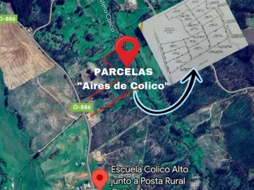 VENDE en VERDE: Parcelas en Santa Juana, VIII Región-Aires de Colico