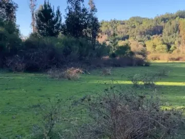 VENDE en VERDE: Parcelas en Santa Juana, VIII Región-Aires de Colico