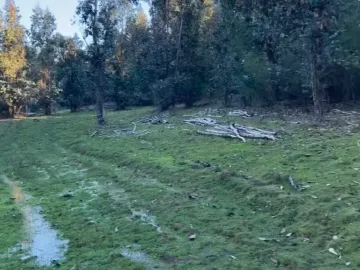 VENDE en VERDE: Parcelas en Santa Juana, VIII Región-Aires de Colico