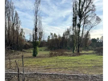 VENDE en VERDE: Parcelas en Santa Juana, VIII Región-Aires de Colico