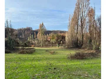 VENDE en VERDE: Parcelas en Santa Juana, VIII Región-Aires de Colico