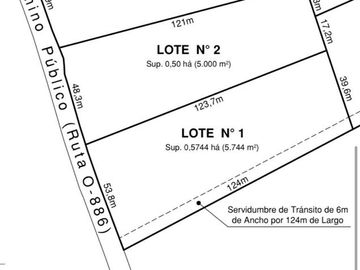 Parcelas en VENTA-VERDE  Acceso ruta Principal- Sector Colico Alto Santa Juana Bio bio