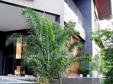 Prestigious modern zen type single detached house and lot for sale inside sun valley antipolo city