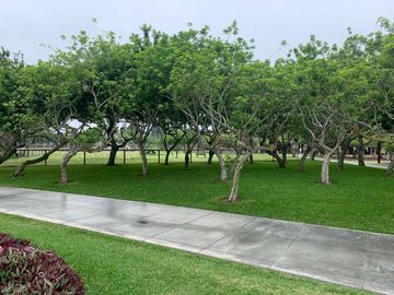 Venta de terreno excelente ubicacion Fila 3 en Playa Blanca (Asia - Cañete)