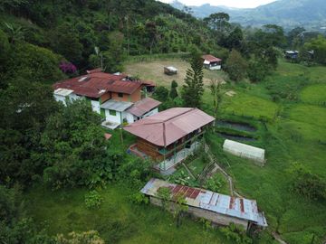EN VENTA FINCA EN LA FLORIDA