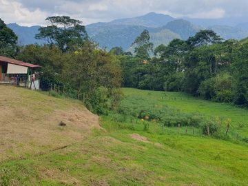 EN VENTA FINCA EN LA FLORIDA