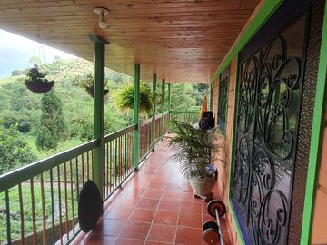 EN VENTA FINCA EN LA FLORIDA