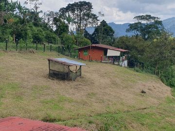 EN VENTA FINCA EN LA FLORIDA