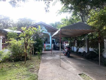 HOUSE AND LOT FOR SALE IN DUMAGUETE CITY ID 14972
