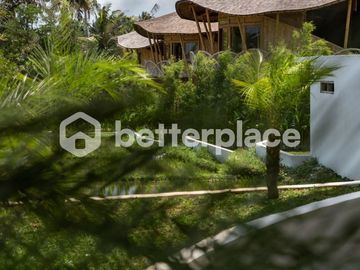Eco-Luxury Villas in Ubud East A Unique Investment Opportunity