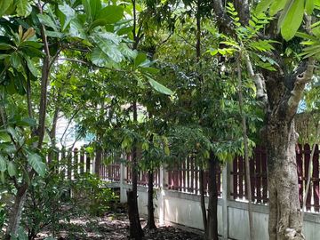 For Sale: Large Golden Teakwood House with 9 Bedrooms in the World Club Land Project, Convenient City Access, Close to International Schools