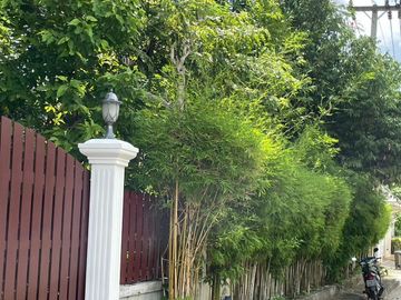 For Sale: Large Golden Teakwood House with 9 Bedrooms in the World Club Land Project, Convenient City Access, Close to International Schools