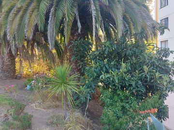 SE VENDE DEPARTAMENTO EN LORD COCHRANE VALPARAISO