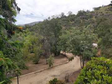 HERMOSA PARCELA VERDE Y COLORIDA CON POZO Y CONSTRUCCIONES