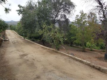 HERMOSA PARCELA VERDE Y COLORIDA CON POZO Y CONSTRUCCIONES
