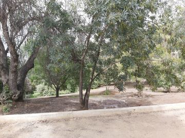 HERMOSA PARCELA VERDE Y COLORIDA CON POZO Y CONSTRUCCIONES