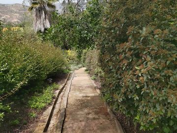 HERMOSA PARCELA VERDE Y COLORIDA CON POZO Y CONSTRUCCIONES